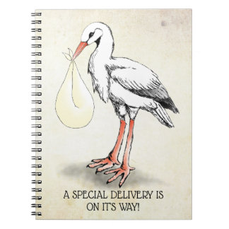 Stork Special Delivery Notebook (Neutral)