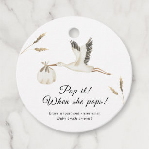 Stork special delivery - Pop it when she pops  Favour Tags