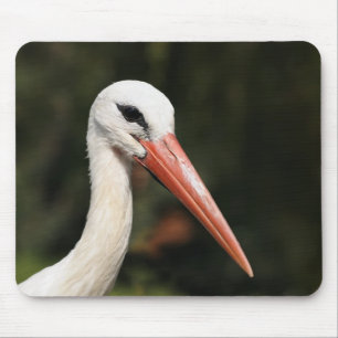 Stork - symbol of Strasbourg and Alsace, France Mouse Pad