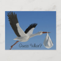 Stork with Baby Bundle