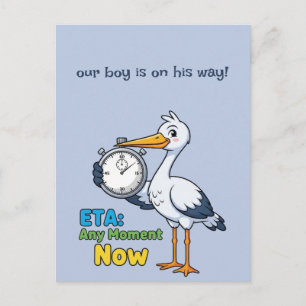 Stork with Stopwatch Pregnancy Postcard