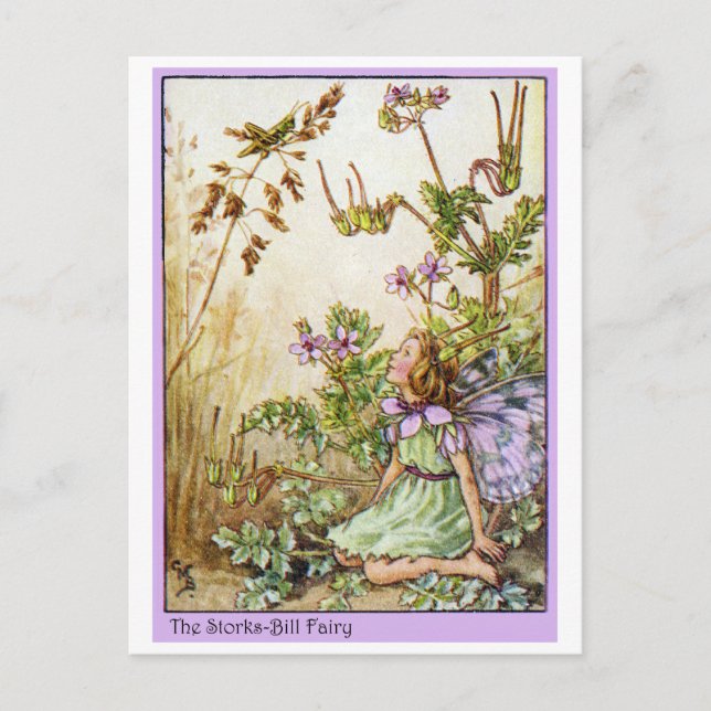 Storks Bill Fairy Postcard (Front)