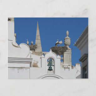 storks build nests on the church in the old town postcard