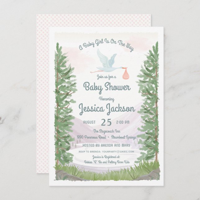 Stork's Journey Baby Girl Shower Invitation (Front/Back)