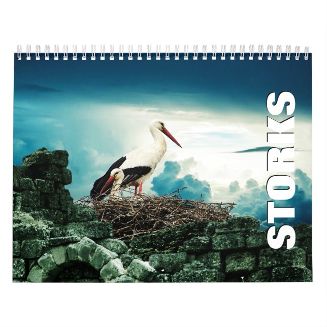 Storks Wall Calendar (Cover)