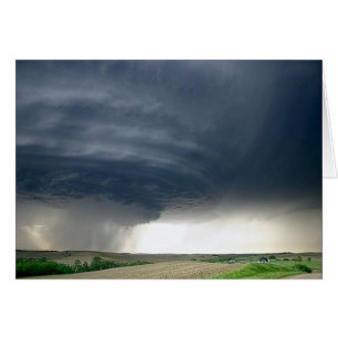 Storm 6