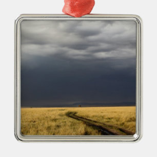 Storm clouds and road across gassy plains of the metal tree decoration