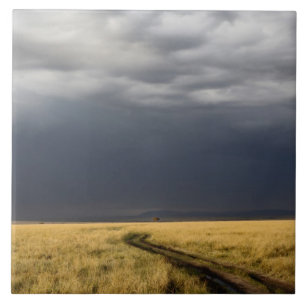 Storm clouds and road across gassy plains of the tile