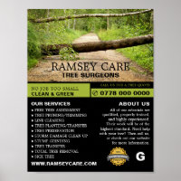 Storm Damage - Tree Surgeon - Arborist