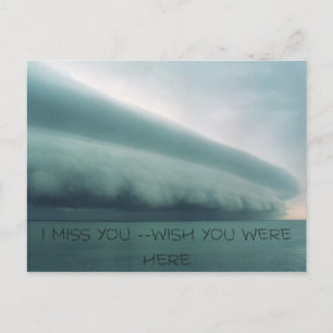 Storm, I MISS YOU --WISH YOU WERE HERE Postcard