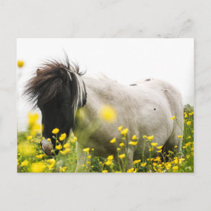 Storm on a postcard