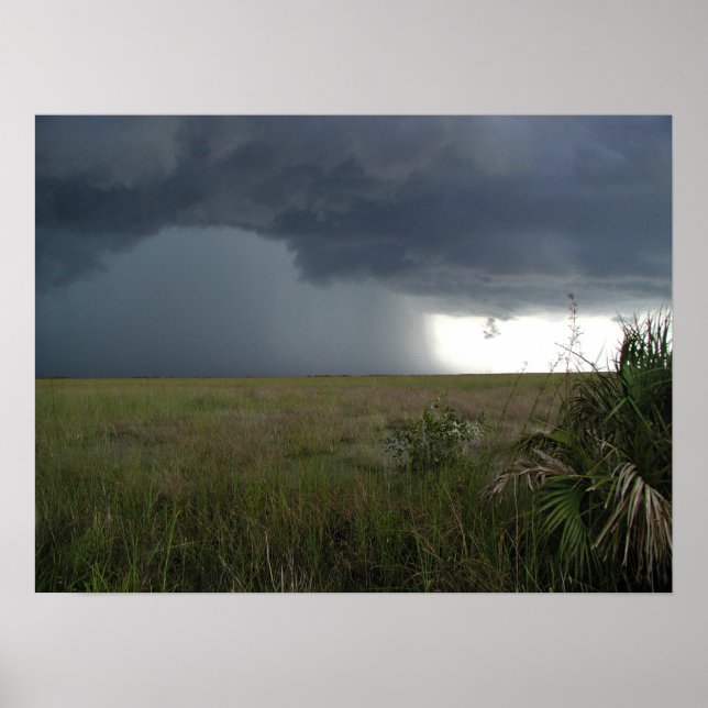 Storm Over the Everglades Poster (Front)