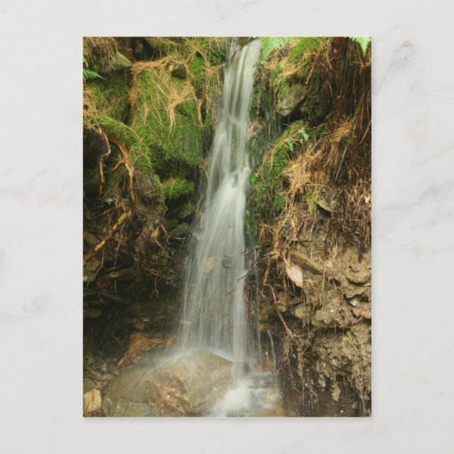 Storm Runoff postcard (Front)