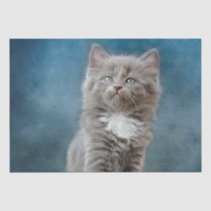 stormy cat tissue paper