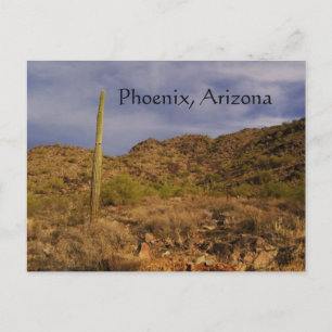 Stormy day in Phoenix Postcard
