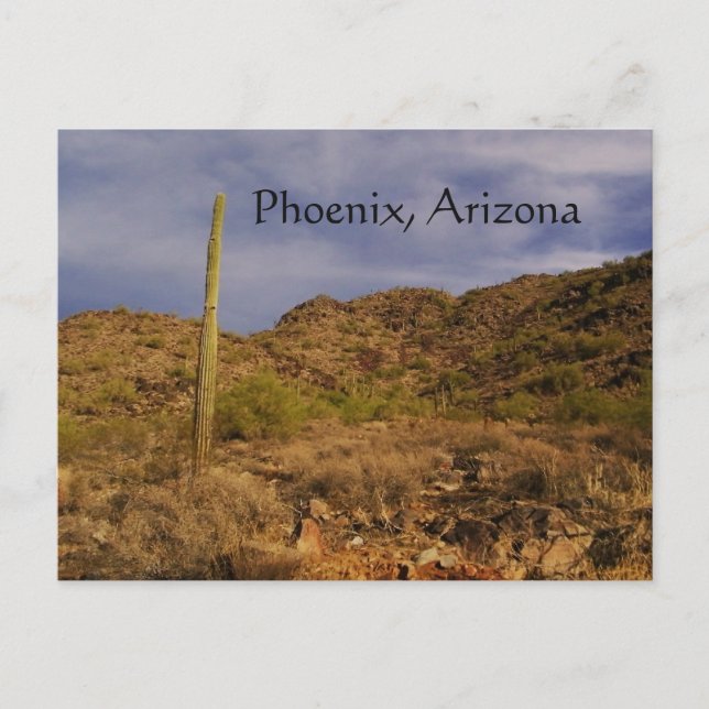 Stormy day in Phoenix Postcard (Front)