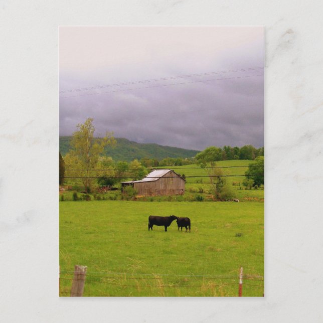 Stormy Day Postcard (Front)