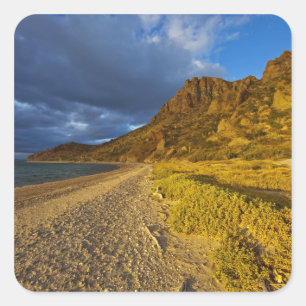 Stormy light on Isla Carmen in the Gulf of Square Sticker