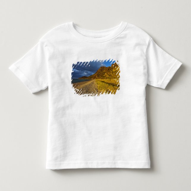 Stormy light on Isla Carmen in the Gulf of Toddler T-Shirt (Front)