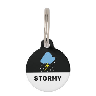 Stormy Lightning Pet Tag