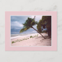 Stormy Sky, Beach, Palm Tree, Negril, Jamaica