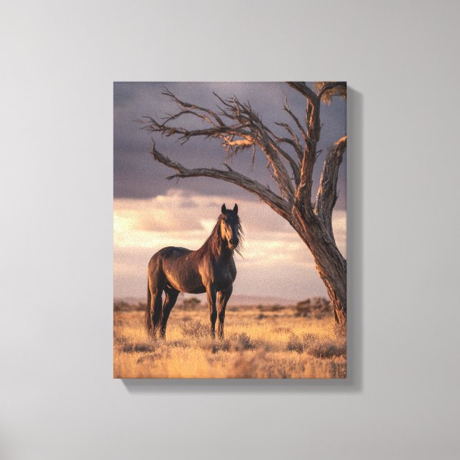 Stormy Sky Wild Horse Tree Art Canvas Print (Front)