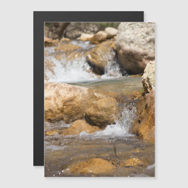 Stormy stream in spring (Front/Back)