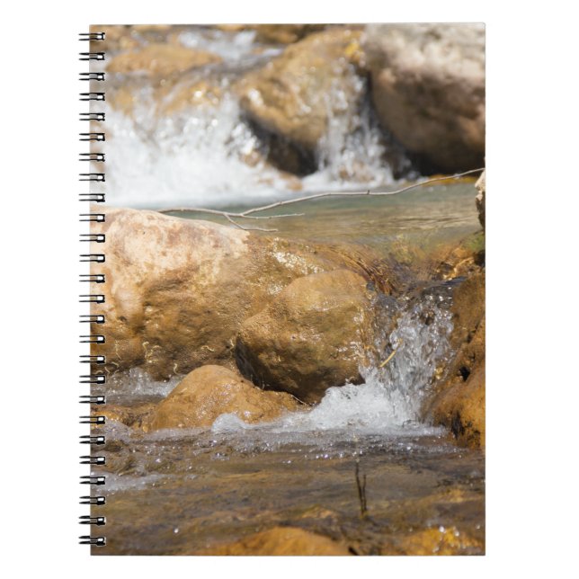 Stormy stream in spring notebook (Front)