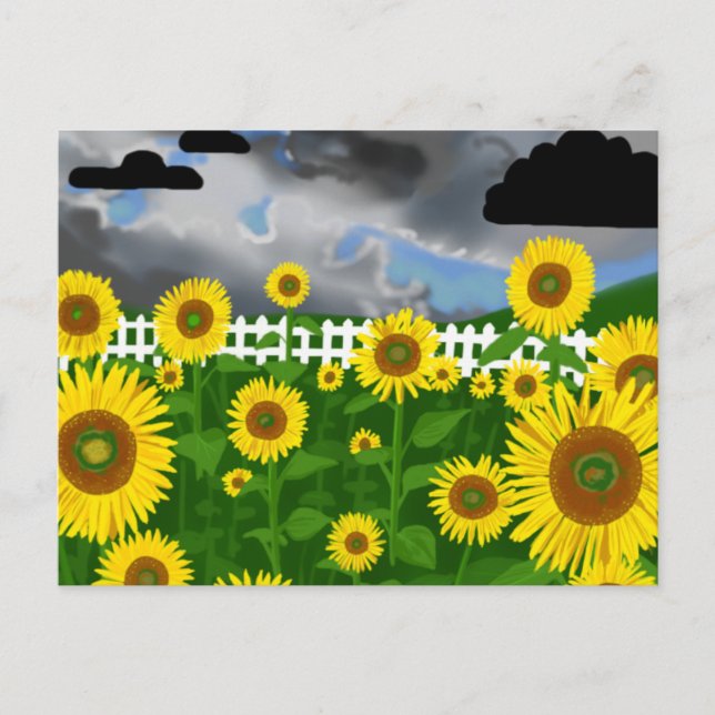 Stormy Sunflowers with White Picket Fence Postcard (Front)