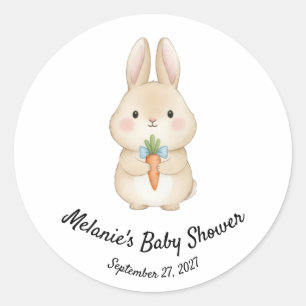 Storybook Rabbit Garden Party Baby Shower Classic Round Sticker