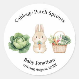 Storybook Rabbit Veggie Basket Baby Shower Favor Classic Round Sticker