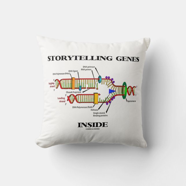 Storytelling Genes Inside DNA Replication Cushion (Front)