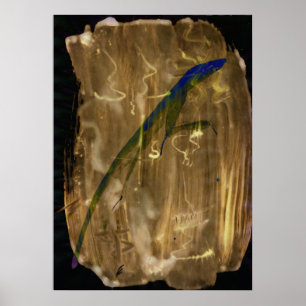 STP - 002 - Gecko Poster