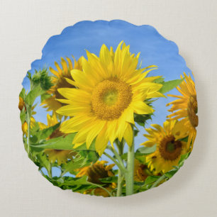Strahlend gelbe Sonnenblumen Round Cushion