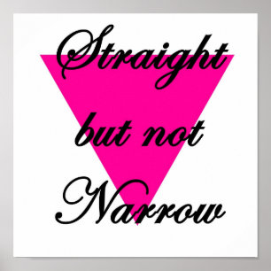 straight but not narrow poster