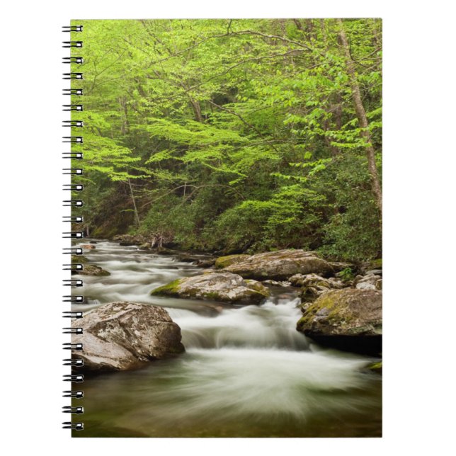 Straight Fork Flows Through Forest Notebook (Front)