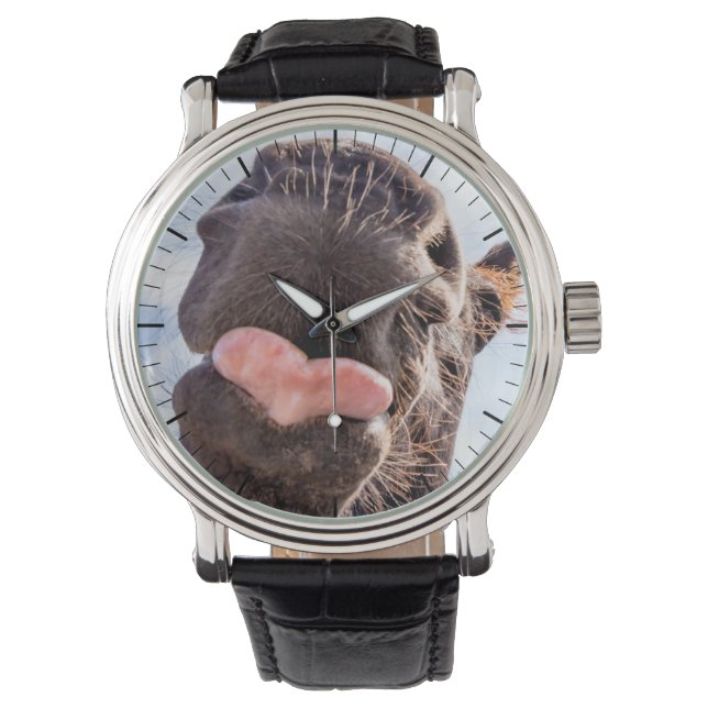 Straight from the Horse's Mouth Funny Animal Watch (Front)