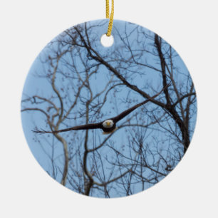 Straight On Eagle Ceramic Tree Decoration