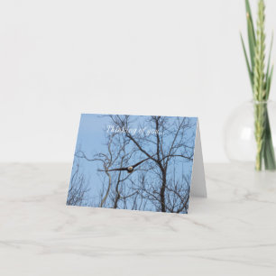 Straight On Eagle Thinking Of You Card