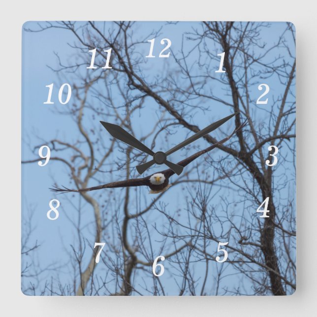 Straight On Eagle Wall Clock (Front)