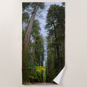 Straight Road Ahead Through Misty Redwood Forest Beach Towel