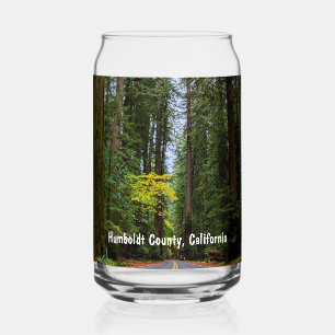 Straight Road Ahead Through Misty Redwood Forest Can Glass