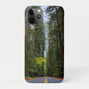 Straight Road Ahead Through Misty Redwood Forest Case-Mate iPhone Case