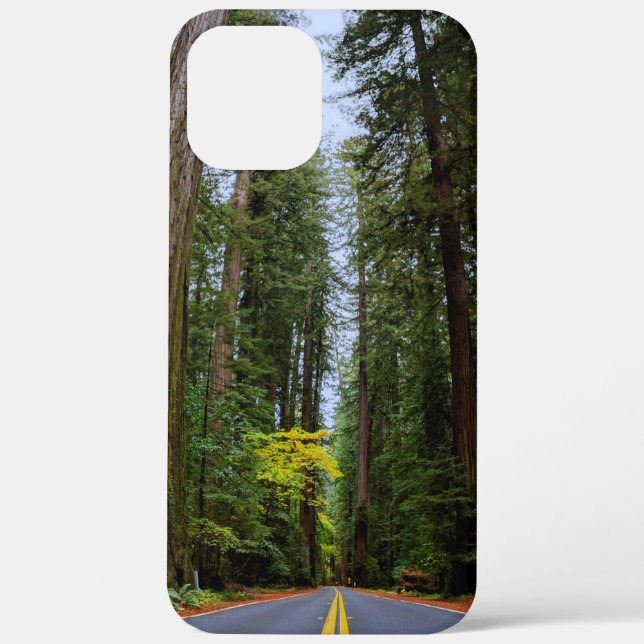 Straight Road Ahead Through Misty Redwood Forest Case-Mate iPhone Case (Back)