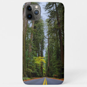 Straight Road Ahead Through Misty Redwood Forest Case-Mate iPhone Case