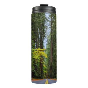 Straight Road Ahead Through Misty Redwood Forest Thermal Tumbler
