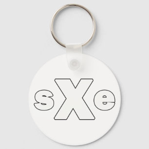 Straightedge 002 key ring