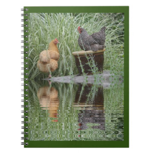Stranded Chickens Spiral Notebook