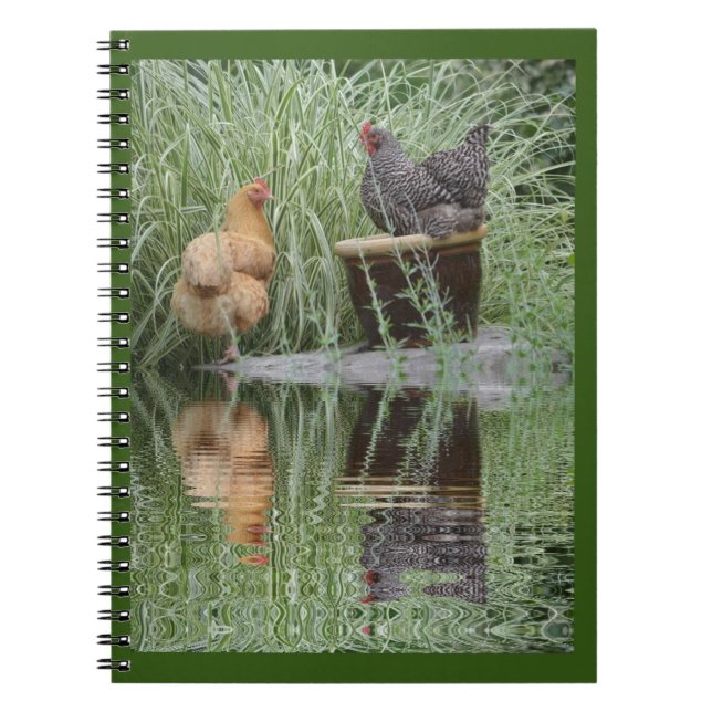 Stranded Chickens Spiral Notebook (Front)