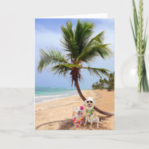 Stranded on Deserted Island Holiday Card